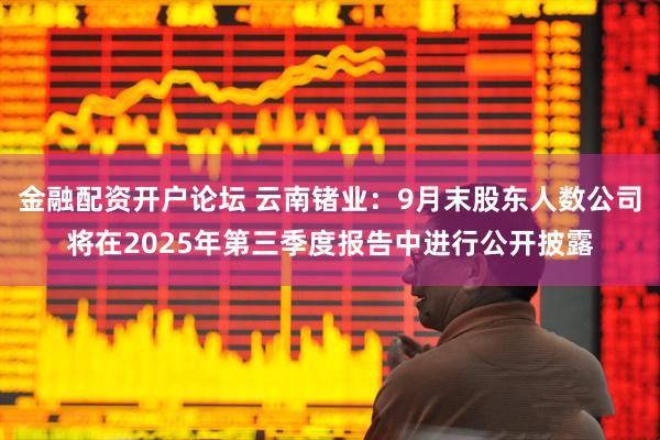 金融配资开户论坛 云南锗业：9月末股东人数公司将在2025年第三季度报告中进行公开披露